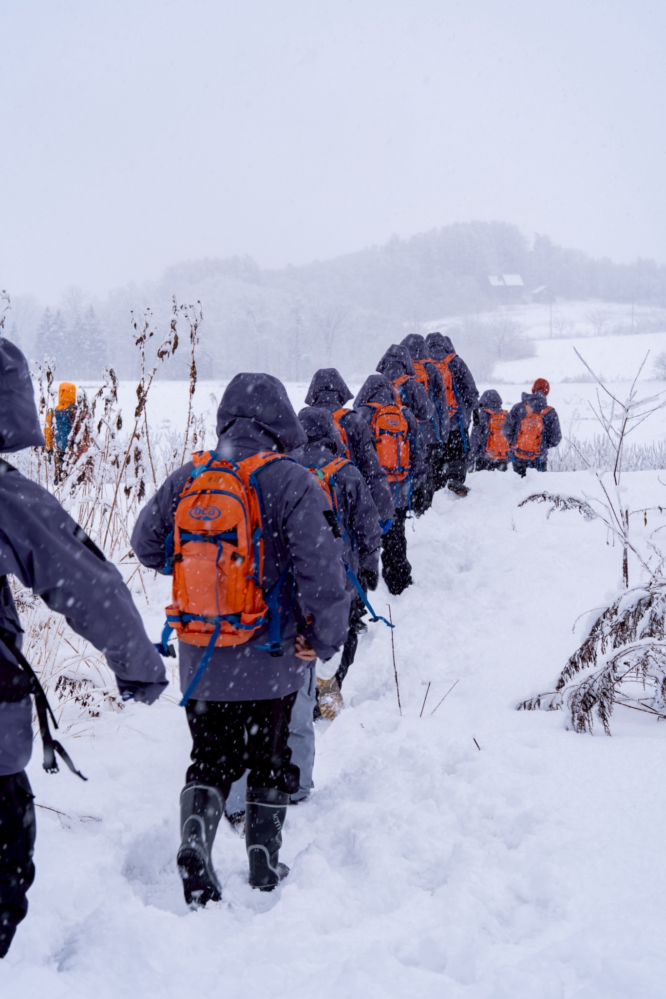 Diplan ski school team in Niseko and Rusutsu